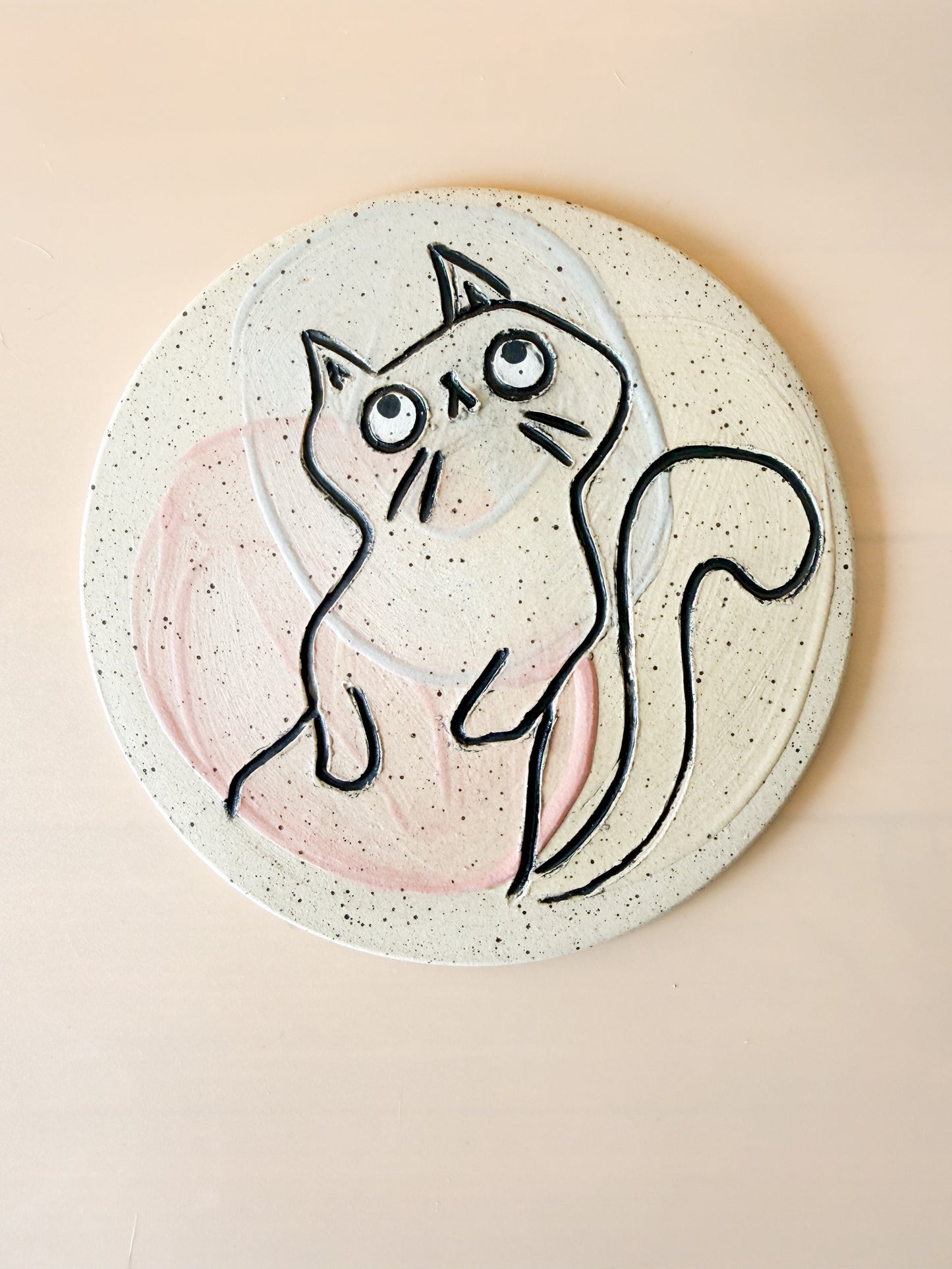 CISM Series #6 The Meerkat One
