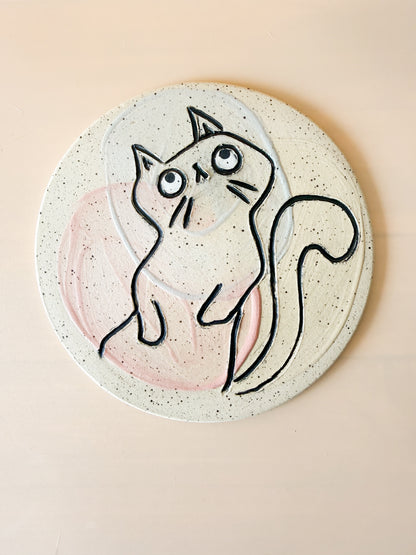 CISM Series #6 The Meerkat One